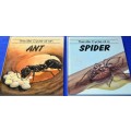 Children's Educational Books - Life Cycle - Ant and Spider