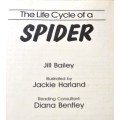 Children's Educational Books - Life Cycle - Ant and Spider