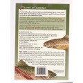 South African  Fly Fishing Clinic Second edition - Curtis & Boulton`s (a2)