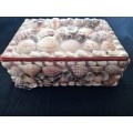 WOW stunning hand crafted Seashell trinket box
