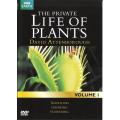 BBC Earth - The Private Life of Plants Volume 1 David Attenborough [DVD]