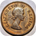 Top Grade SA Union: RED 1955 Half penny 1/2d in A/UNC!