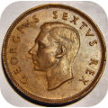 Top Grade SA Union: 1951 Half penny 1/2d in A/UNC!!