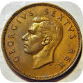 Top Grade SA Union: 1950 Half penny 1/2d in EF!