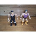WWE Wrestling Action Figures , Hulk Hogan