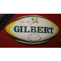 Mini Springbok Rugby Gilbert Ball with Unknown Signatures / Autographs