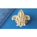 Badge - Boys Scouts