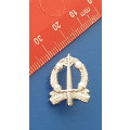 SADF - SA Military Police Badge with pins