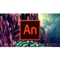 Adobe Animate 2020 for Windows (Lifetime)