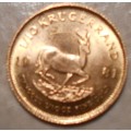 1981 - 1/10th.OUNCE FINE GOLD UNCIRCULATED KRUGERRAND.
