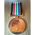 SAPS Soccer World Cup Support Medal