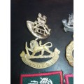 Mixed Lot Rhodesian Badges