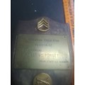 Operation Fried Fish Plaque