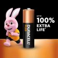 Duracell Plus AA Batteries - 12 Pack