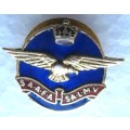 PRE 1960 SOUTH AFRICAN AIR FORCE ASSOCIATION LAPEL BUTTONHOLE BADGE IN GOOD CONDITION