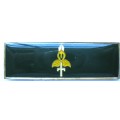 9 S.A. DIVISION COMMAND BAR WITH PINS IN GOOD CONDITION