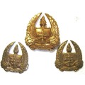 S.A. ARMY GYMNASIUM GILDING METAL BERET AND COLLAR BADGES WORN 1950 - 1967 WITH LUGS AND PINS - GOOD