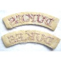 PAIR OF `DUKES` CLOTH SHOULDER TITLES IN GOOD UNUSED CONDITION