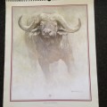 Robert Bateman calendar print, titled ` African Buffalo`