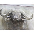 Robert Bateman calendar print, titled ` African Buffalo`