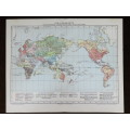 1905 Map of The World by Language Spoken, Excellent condition, Original German Mayer Map