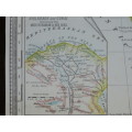1889 Map of Africa, Fair Condition, Original McNally Antique Map