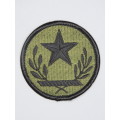 United States Army Texas National Guard Insignia Patch, OD Subdeud Patch