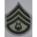 United States Marines Corps Staff Sergeant Rank Insignia Patch E6