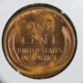 USA , 1955 D Lincoln Cent, BU Wheat Penny , Denver Mint, Uncirculated Gem Red