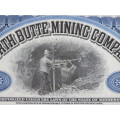 1929 North Butte Mining Company, Stock Certificate, 10 Shares , F9993