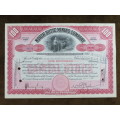 1929 North Butte Mining Company, Stock Certificate, 100 Shares , C9776