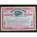 1929 North Butte Mining Company, Stock Certificate, 100 Shares , C11656