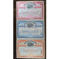 1917 Set of 3 North Butte Mining Company, Stock Certificate, 205 Shares , C21032
