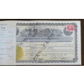 1924 WEstern Union Mining Company, Stock Certificate, 1000 Shares , 3124