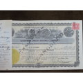 1924 Western Union Mining Company, Stock Certificate, 5000 Shares , 3116