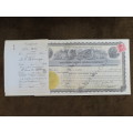 1924 Western Union Mining Company, Stock Certificate, 5000 Shares , 3117