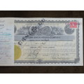 1924 Western Union Mining Company, Stock Certificate, 1000 Shares , 3119
