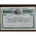 1905 Consolidated Water Company , Stock Certificate, 100 Shares, C178