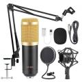 Professional Condenser Studio Microphone With Stand and Mic Holder and Shield -- SPECIAL!!!