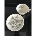 A GENUINE HAND ENGRAVED `CAMELLIA` CUP AND SAUCER - JOHNSON BROS - MADE IN ENGLAND BE