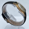 DELFIN SWISS AUTOMATIC MENS GOLD VINTAGE WATCH!