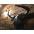 Blue-wildebeest skull, powder-coated with Gun Metal for wall decor