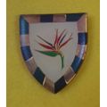 6 SA Infantry Battalion Shoulder Flash - Left Hand - 1st Type