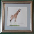 Baby Giraffe - Original Watercolour by well known S. Santilhano (1936 - 2023)