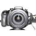 Panasonic Lumix DMC-FZ2000-20.1MP Hybrid Digital Camera (20x Optical Zoom, Leica Lens, Wi-Fi, OLED