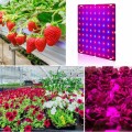 45W 169LED Full Spectrum UV + IR LED Plant Grow Light Veg Lamp For Indoor Hydroponic Flower