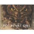 POT PLANT OWL by Allan and Tracy Eccles