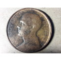 SA 1925 Prince Edward - Cape Town Copper medallion