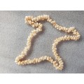 Lovely Genuine Shell Necklace in Very Good Condition