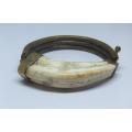 WOW !! MUST SEE !! A TOTALLY AWESOME VINTAGE BRASS METAL AND WARTHOG TUSK HINGED BANGLE !!